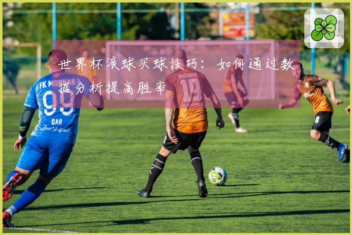 世界杯滚球买球技巧：如何通过数据分析提高胜率