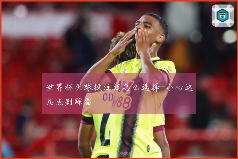 世界杯买球投注该怎么选择-小心这几点别踩雷