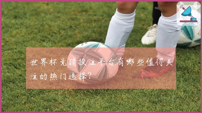 世界杯竞猜投注平台有哪些值得关注的热门选择？