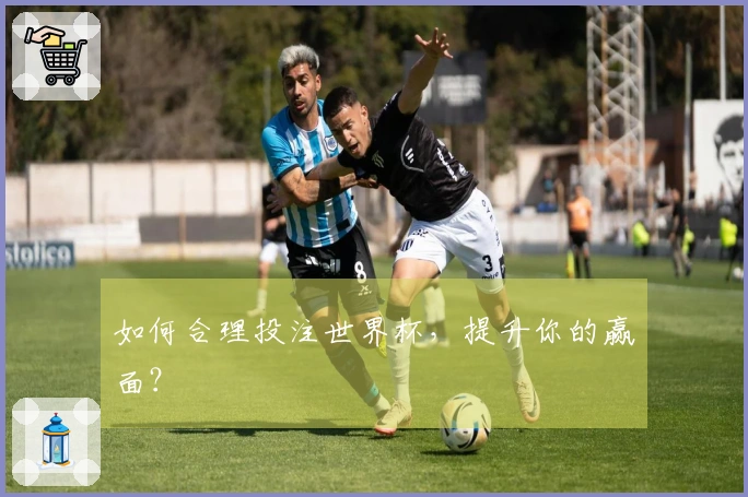 如何合理投注世界杯，提升你的赢面？