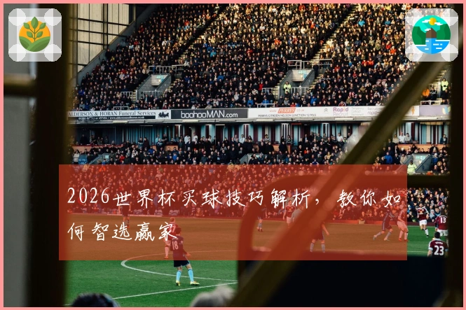 2026世界杯买球技巧解析，教你如何智选赢家