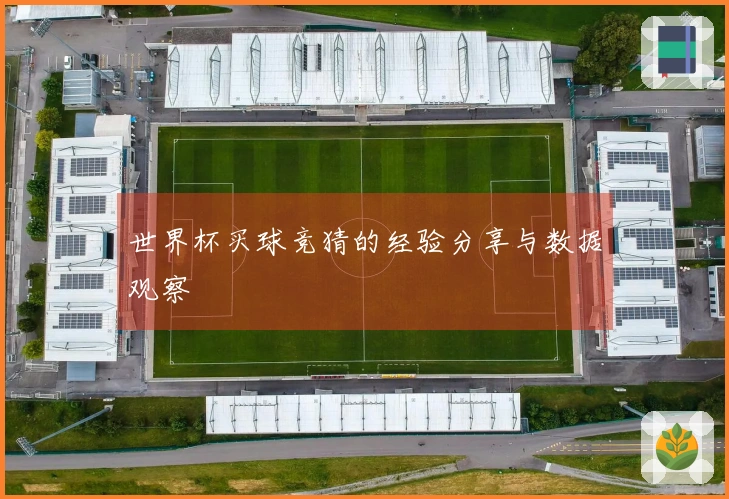 世界杯买球竞猜的经验分享与数据观察