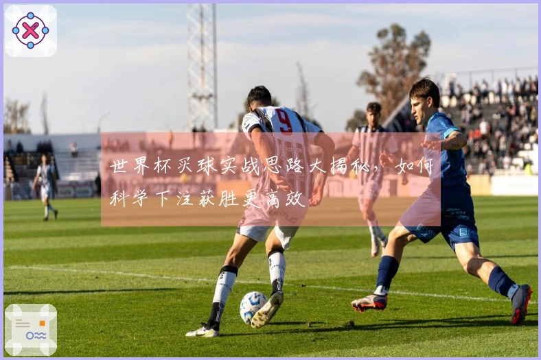 世界杯买球实战思路大揭秘，如何科学下注获胜更高效