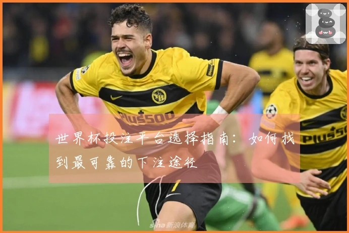 世界杯投注平台选择指南：如何找到最可靠的下注途径