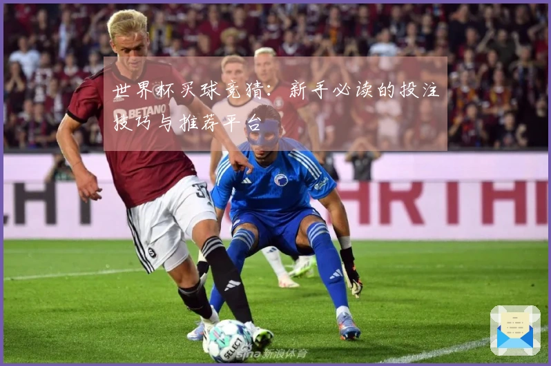 世界杯买球竞猜：新手必读的投注技巧与推荐平台