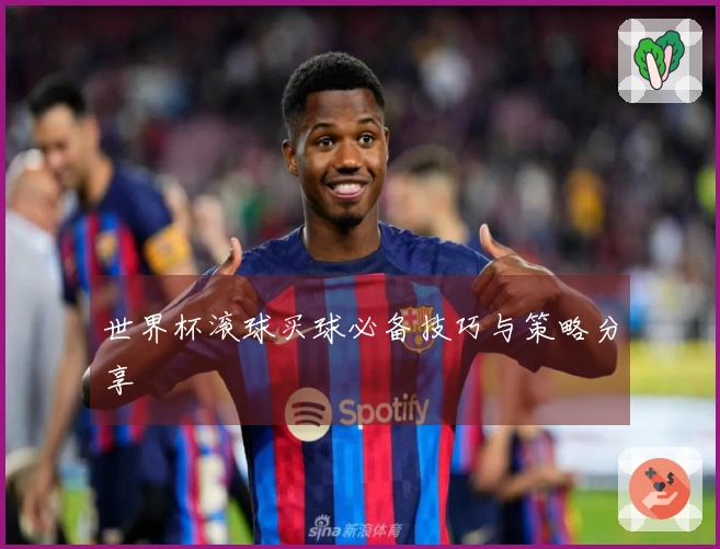 世界杯滚球买球必备技巧与策略分享