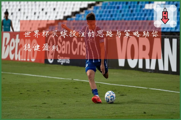 世界杯买球投注的思路与策略助你稳健盈利