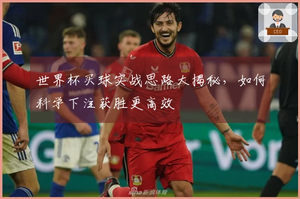 世界杯买球实战思路大揭秘，如何科学下注获胜更高效