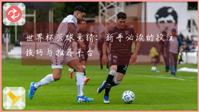 世界杯买球竞猜：新手必读的投注技巧与推荐平台