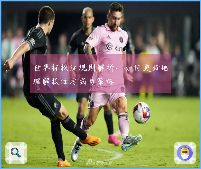 世界杯投注规则解析，如何更好地理解投注方式与策略