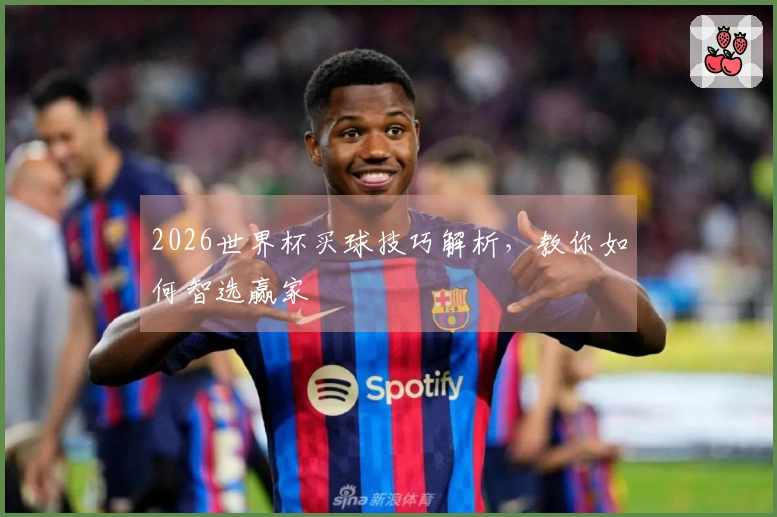 2026世界杯买球技巧解析，教你如何智选赢家