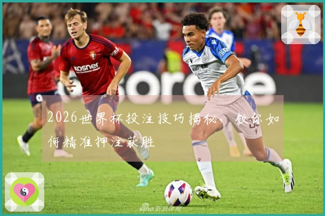 2026世界杯投注技巧揭秘,教你如何精准押注获胜
