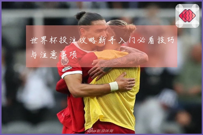 世界杯投注攻略新手入门必看技巧与注意事项
