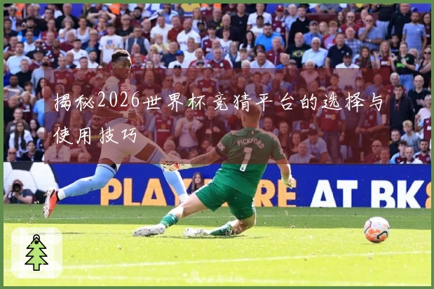 揭秘2026世界杯竞猜平台的选择与使用技巧