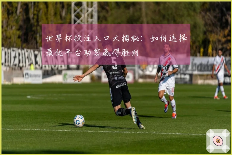 世界杯投注入口大揭秘：如何选择最优平台助您赢得胜利