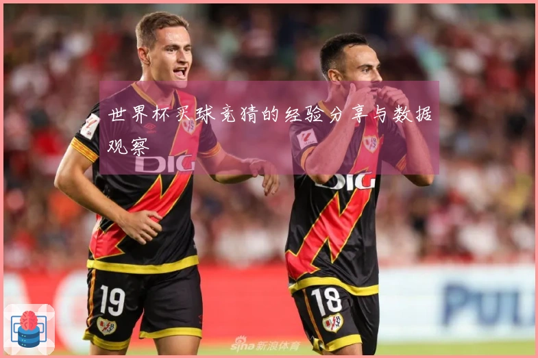 世界杯买球竞猜的经验分享与数据观察