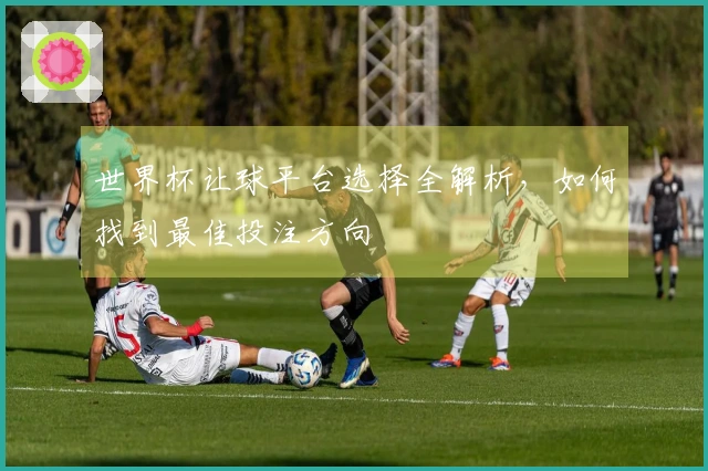 世界杯让球平台选择全解析，如何找到最佳投注方向