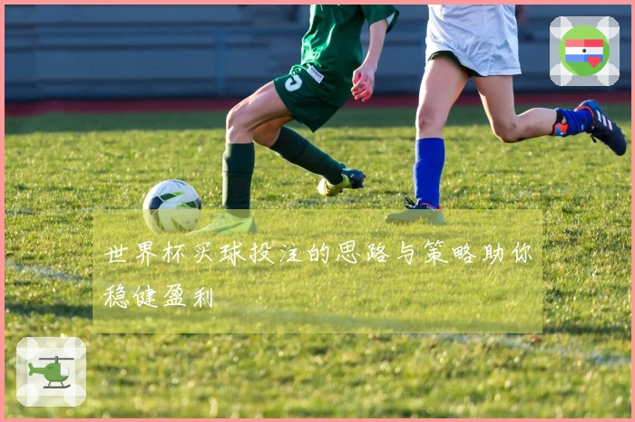 世界杯买球投注的思路与策略助你稳健盈利