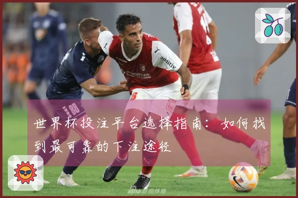 世界杯投注平台选择指南：如何找到最可靠的下注途径