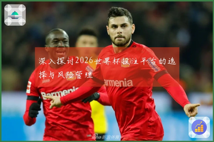 深入探讨2026世界杯投注平台的选择与风险管理