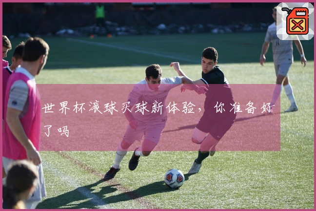世界杯滚球买球新体验，你准备好了吗